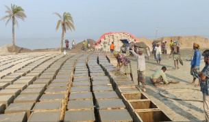 দৌলতখান-বোরহানউদ্দিনে নদী ভাঙ্গন রোধে ৫২২ কোটি টাকার কাজের ২২ ভাগ সম্পন্ন