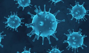 গত ২৪ ঘন্টায় করোনায় ২ জন মারা গেছেন