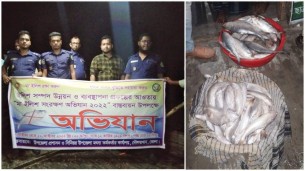 দৌলতখানে দেড়শ কেজি ইলিশ মাছ জব্দ