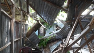 ভোলায় ঘুর্ণিঝড়ের আঘাতে গাছ পড়ে স্কুলঘর বিধ্বস্ত