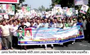 ভোলায় বিএনপির আনন্দ মিছিল অসুস্থ্য হয়ে কর্মীর মৃত্যু