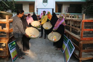 গ্রামীণ জন উন্নয়ন সংস্থার পক্ষ থেকে  দেশী মুরগি পালনের উপকরণ বিতরণ