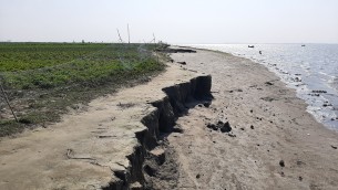 মেঘনার ভাঙনে উদ্বাস্তু হচ্ছে ঢাল চরের বাসিন্দারা