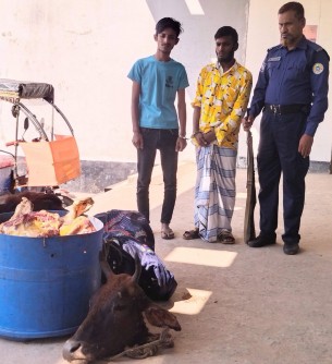 দৌলতখানে চোরাই গাভীন গরুর মাংস উদ্ধার, আটক-২