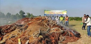 ভোলায় মৎস্য সংরক্ষণ আইন বাস্তবায়নে কঠোর মৎস্য বিভাগ