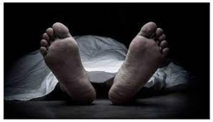 চরফ্যাসনে সরিষা ক্ষেত থেকে বৃদ্ধের মরদেহ উদ্ধার