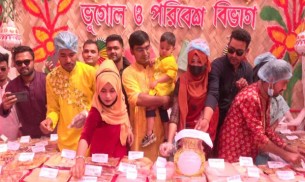 বাঙালির ঐতিহ্য ধরে রাখতে ভোলায় পিঠা উৎসব