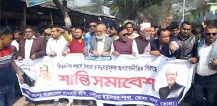 ভোলায় ইউনিয়নে ইউনিয়নে  আ’লীগের শান্তি সমাবেশ