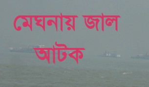 দৌলতখানের মেঘনায়  ৮ লাখ টাকার অবৈধ  জাল জব্দ