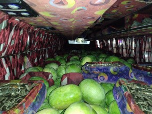 ভোলা থেকে যাত্রবাহী বাসে পরিবহন করা হচ্ছে তরমুজ