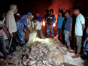 ভোলায় কোস্ট গার্ডের অভিযানে বিপুল  পরিমান অবৈধ জাল ও মাছ জব্দ