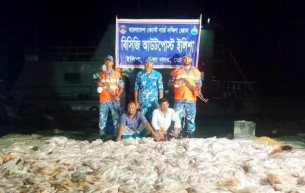 ভোলায় তিন হাজার কেজি ইলিশসহ আটক-২
