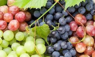 আঙ্গুরের ঔষধি গুনাগুন