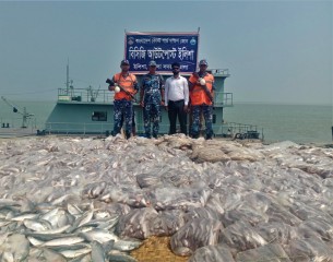 ভোলায় ৪ হাজার কেজি মাছ জব্দ
