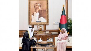 প্রধানমন্ত্রীকে সমুদ্র বন্দর ও অবকাঠামোতে অব্যাহত সহযোগিতার আশ্বাস ইউএই রাষ্ট্রদূতের