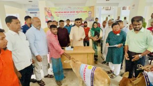 জেলেদের মাঝে বকনা বাছুর বিতরণ