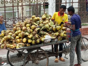 ভোলায় প্রচন্ড গরমে তালের শাঁসের ব্যাপক চাহিদা