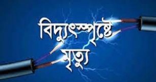 ভোলায় মুরগির খামারে বিদ্যুৎস্পৃষ্টে প্রাণ গেল ব্যবসায়ীর