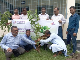 ভোলায় পদক্ষেপের উদ্যোগে বিশ্ব পরিবেশ দিবসে বৃক্ষরোপণ