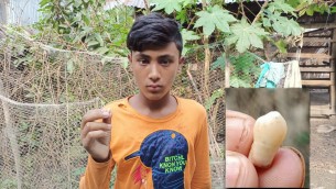 দৌলতখানে প্রতিপক্ষের ঘুষিতে দাঁত হারালেন কিশোর