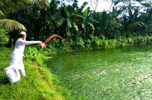মাছের খামার থেকে বাহালুলের বছরে আয় ৭০ লাখ টাকা