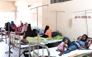 লালমোহনে বেড়েছে ডেঙ্গুর প্রকোপ সচেতনতাই প্রতিরোধের পথ