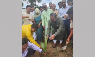 প্রধানমন্ত্রী শেখ হাসিনা বৃক্ষরোপণের ওপর জোর দিয়েছেন : খাদ্যমন্ত্রী