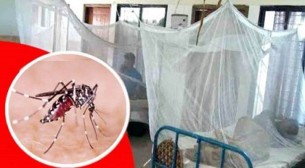 ডেঙ্গুতে ১৪ জনের মৃত্যু, হাসপাতালে ভর্তি ২৬৫৩