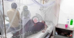 ডেঙ্গুতে আরও একজনের মৃত্যু, হাসপাতালে ভর্তি ৮৯৬