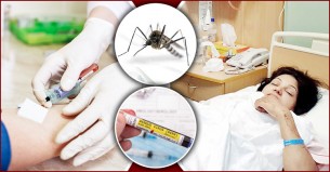 জ্বর হওয়ার কতদিনের মধ্যে কোন টেস্ট করলে ডেঙ্গু ধরা পড়ে?