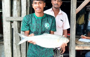 লালমোহনে এক ইলিশের দাম সাড়ে ৭ হাজার টাকা
