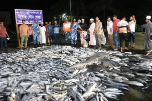 ভোলায় ৪০ মণ সামুদ্রিক মাছ  জব্দ, আটক ২