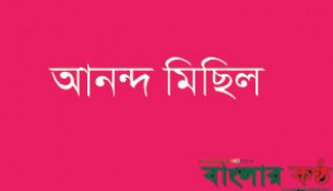 ইউপি বোরহানউদ্দিনে চেয়ারম্যান আলাউদ্দিন বহিস্কার হওয়ায় এলাকায় আনন্দ মিছিল
