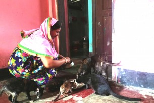 লালমোহনে ষোল বিড়ালের বন্ধু বানী মজুমদার