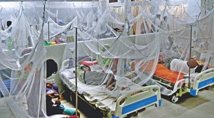 ভোলায় হঠাৎ করেই ডেঙ্গু জ্বরে আক্রান্ত রোগীর সংখ্যার বৃদ্ধি