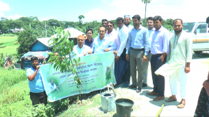 ভোলায় বেড়িবাঁধে পানি উন্নয়ন বোর্ডের  বৃক্ষ রোপন কর্মসূচির উদ্বোধন