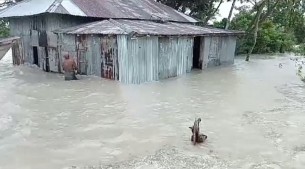 মনপুরায় জোয়ারের পানিতে নিন্মাঞ্চলসহ পাঁচ গ্রাম প্লাবিত
