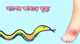 লালমোহনে সাপের কামড়ে প্রাণ গেল বিধবা নারীর