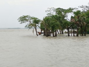 মনপুরায় প্রবল বর্ষণ ও অতি  জোয়ারে ১০ গ্রাম প্লাবিত