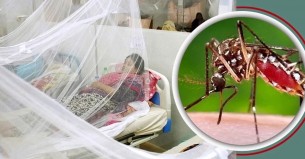ভোলায় হাসপাতালে কমছে ডেঙ্গু রোগীর চাপ