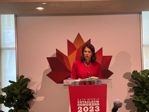 বিশ্বে জ্বালানি চাহিদা বৃদ্ধি অব্যাহত থাকবে: এক্সনমোবিল, সৌদি আরামকো, সিএনপিসি