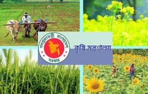 রবি মৌসুমে ১০ ফসলের উৎপাদন বাড়াতে ১৮৯ কোটি টাকার প্রণোদনা