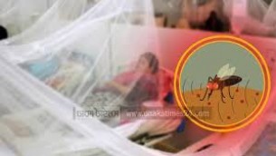 ডেঙ্গু কেড়ে নিল লালমোহনের এইচএসসি ফলপ্রত্যাশীর প্রাণ