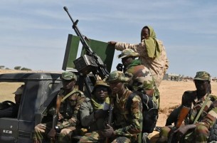 সন্দেহভাজন জিহাদিদের হামলায় নাইজারে ২৯ সৈন্য নিহত