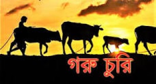 লালমোহনে গোয়াল শূন্য করে ৮ গরু চুরি, নি:স্ব পরিবার