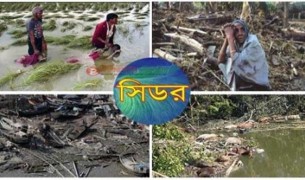 ১৫ নভেম্বরের ভয়াল সিডর; উপকূলবাসীদের দুঃসহ স্মৃতি