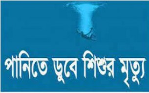 লালমোহনে পুকুরের পানিতে  ডুবে শিশুর মৃত্যু