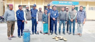 মনপুরায় পাচারকালে বিরল  প্রজাতির কচ্ছপ উদ্ধার, আটক-১