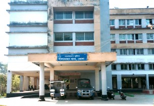 লালমোহনে ভাতিজার গাছের গুঁড়ির আঘাতে প্রাণ গেল চাচির