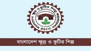 ‘বুককিপিং এন্ড একাউন্টিং’ প্রশিক্ষণ দেবে বিসিক ট্রেনিং ইনস্টিটিউট (বিটিআই)